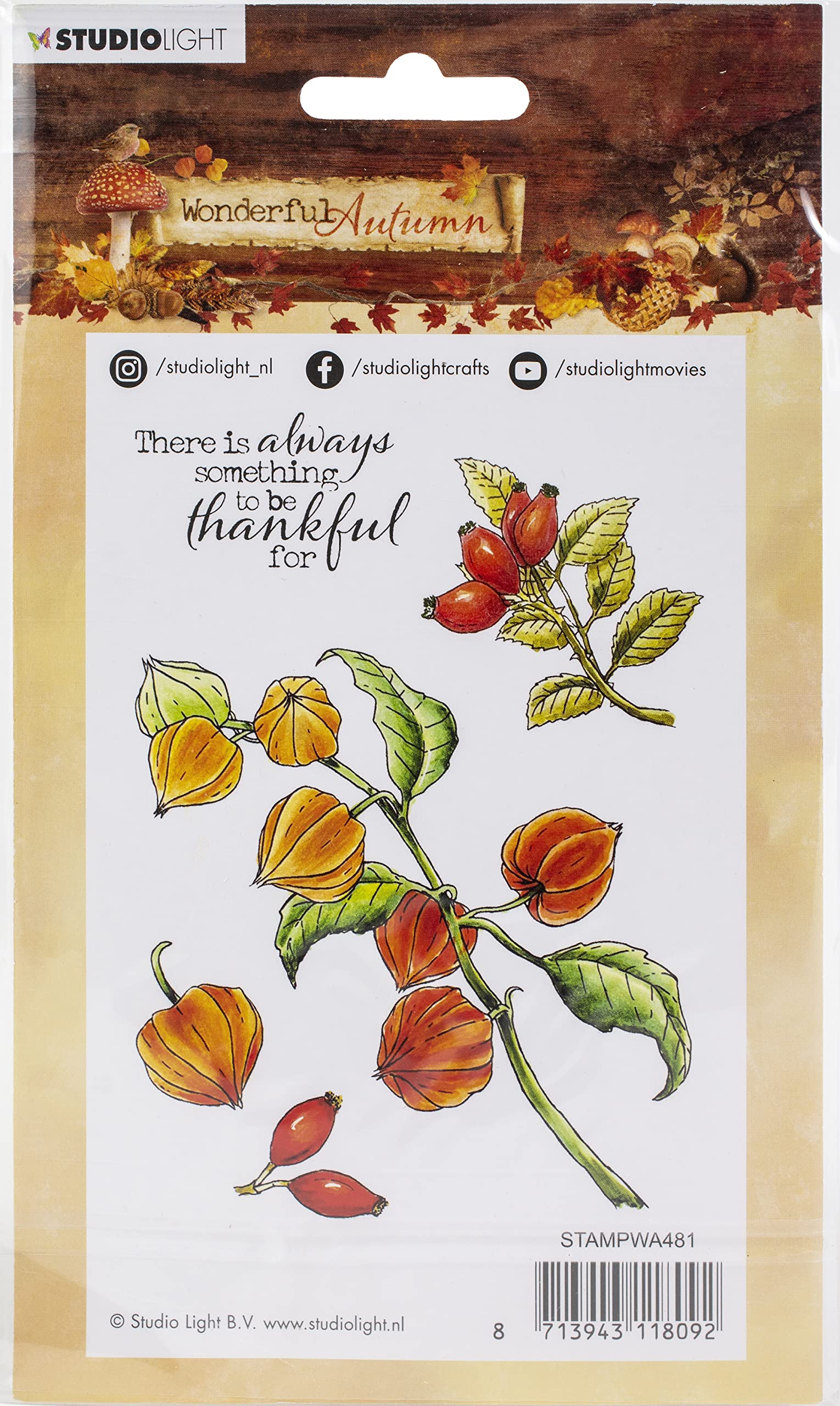 Studio Light NR. 481 Wonder Autumn Stamps - Premium Rubber Stamps for Scrapbooking, Card Making & DIY Crafts - Perfect for Fall Decorations, Journaling & Seasonal Projects