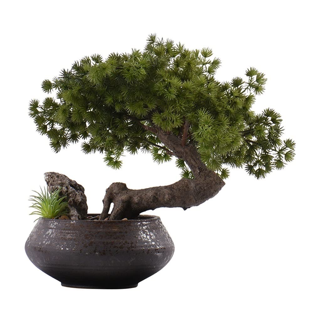 Artificial Fir Tree Bonsai in Black Retro Ceramic Pot - Fake Indoor Plant for Home & Office Decor - Perfect for Living Room, Desk, Shelf, and Window Display - Low Maintenance Houseplant Alternative