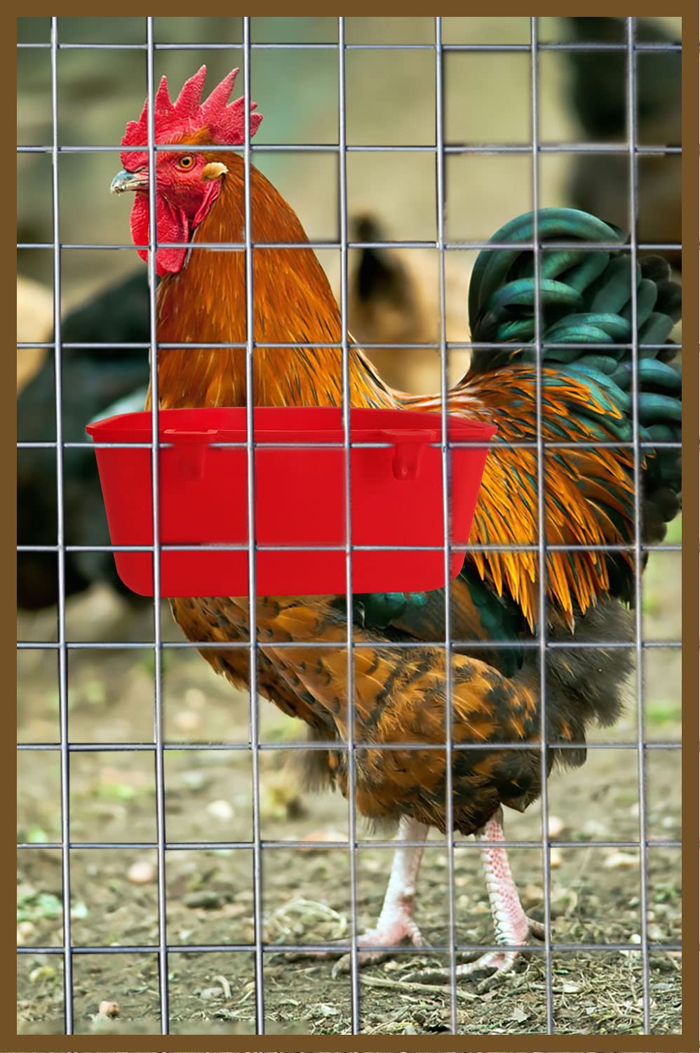 5 Pack Hanging Wire Cage Cups - 25oz Chicken Feeder & Water Bowl for Birds, Rabbits, Cats, Puppies - Durable Travel Carrier Food Dispenser, Treats Box & Seed Drinking Coop Cup - Perfect for Pet Cages, Bird Baths & Small Animal Care