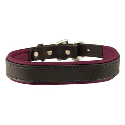 Premium Black & Burgundy Padded Leather Dog Collar - Small Size for Small Dogs | Comfortable & Durable Pet Accessory for Daily Walks, Training & Outdoor Adventures