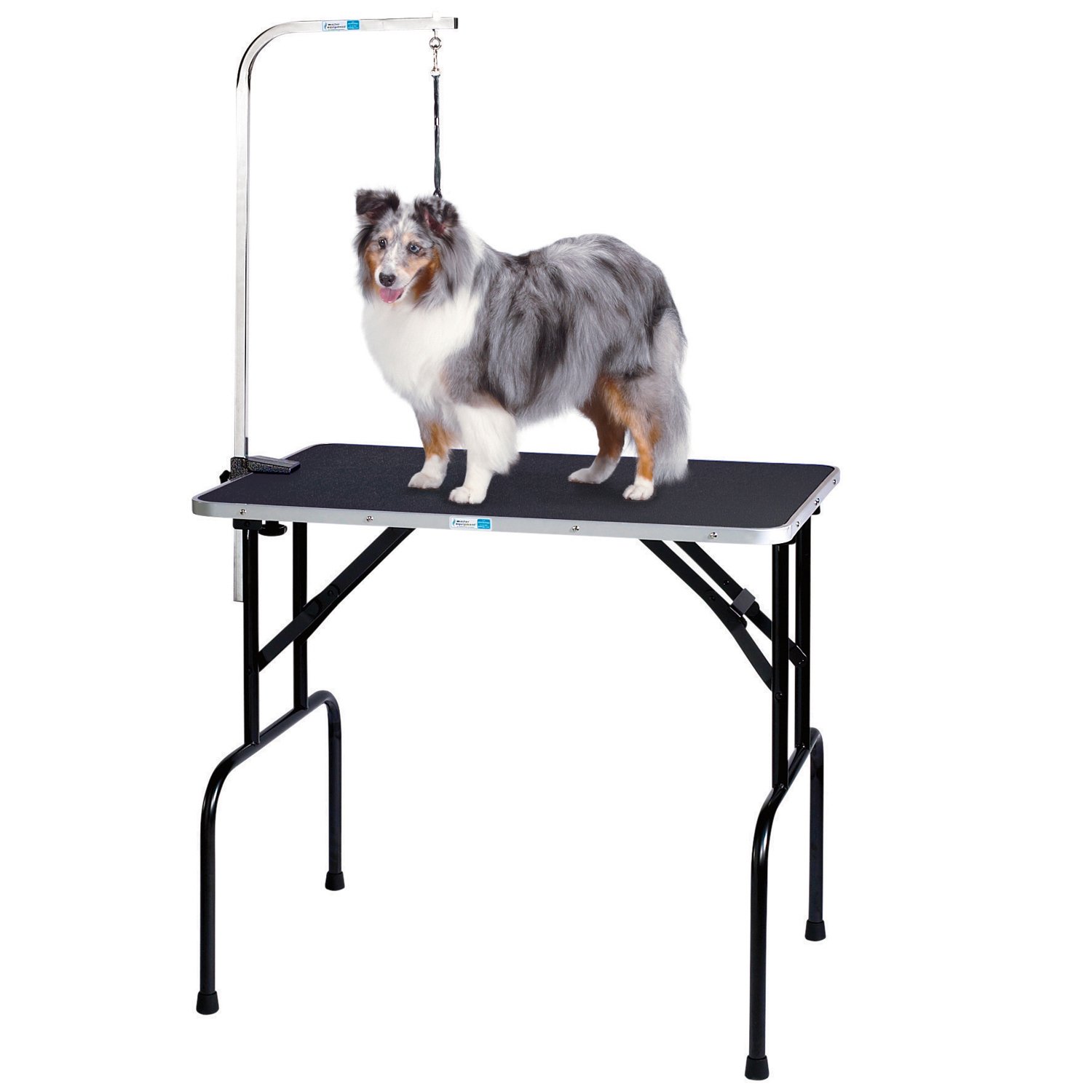 Professional Grooming Table with Adjustable Arm - 48