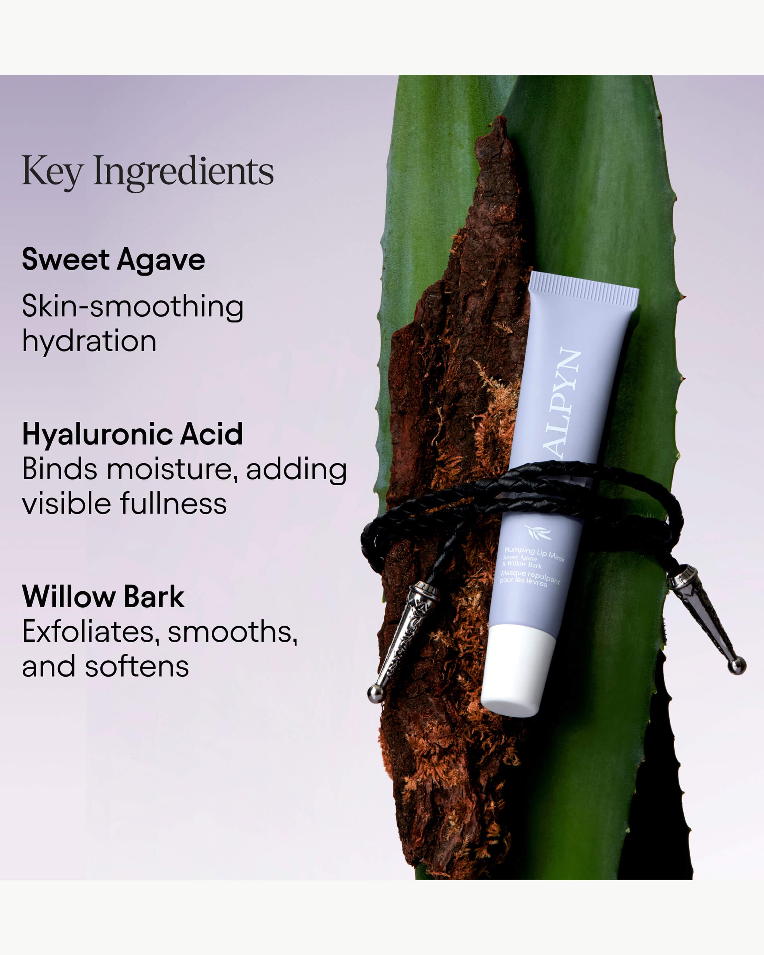 Plumping Lip Mask with Sweet Agave & Willow Bark - Hydrating Overnight Treatment for Dry, Chapped Lips | Perfect for Nighttime Skincare Routine & Winter Lip Care