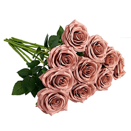 Dusty Rose