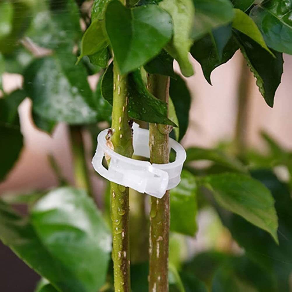 50pcs Garden Clips for Plants - Plant Support Clips for Tomato, Grape & Vegetable Vines - Heavy Duty Trellis Clips to Grow Plants Upright & Healthier - Perfect for Home Garden, Yard & Greenhouse Use