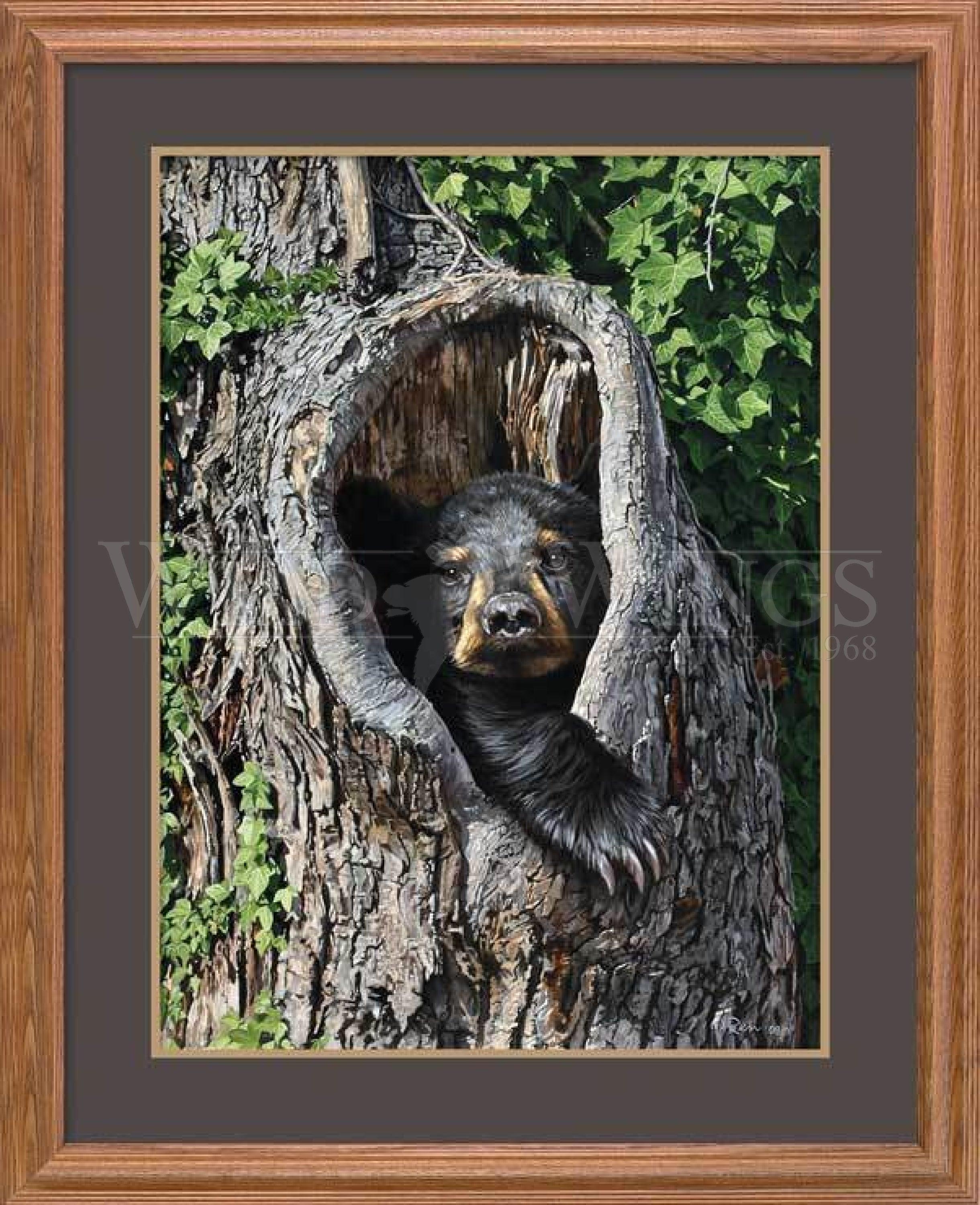 GNA Premium Print - Black Bear Cubby Hole Wall Art for Nursery, Kids Room & Cabin Decor