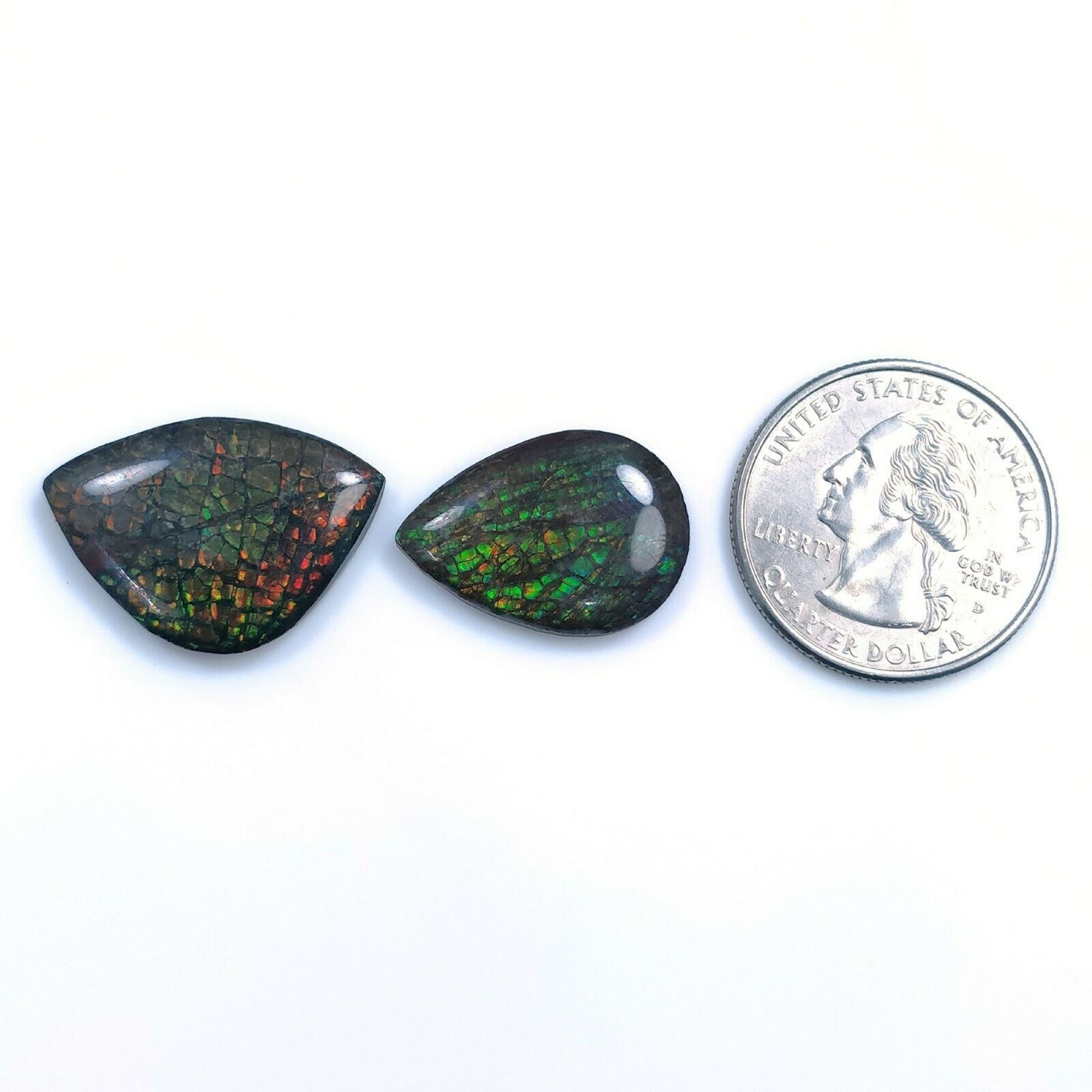 Natural AMMOLITE Gemstone Cabochon - Bi-Color Fossilized Shell, 17.5x25mm & 22x16mm Uneven Shape for Jewelry Making, Collectors & Healing Crystals
