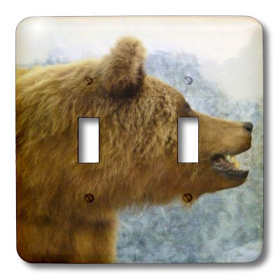 3D Rose Brown Bear Up Close Double Toggle Switch - Wall Decor, Home Office, Cabin, Lodge, Wildlife Theme Room Decor