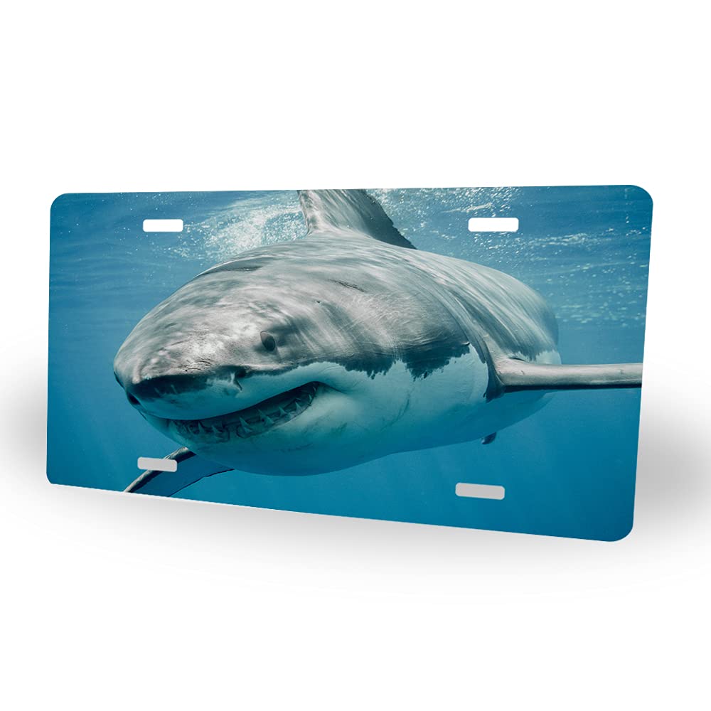 Wondertify Shark Smiling Swimming Blue Ocean Novelty Metal Car License Plate 12