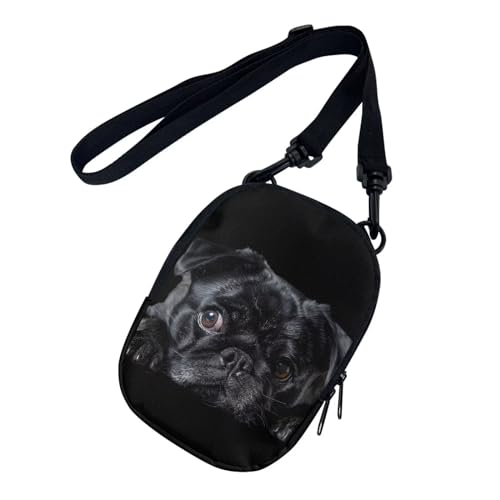 Pug Dog