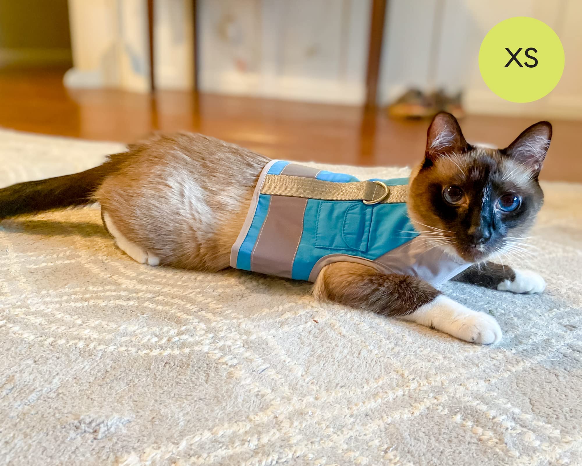 CAT SCHOOL Soft & Comfortable Cat Harness and Leash Set for Outdoor Walks, Training, Travel - Secure Adjustable Cat Vest with 10' Long Leash - Easy Step-by-Step Instructions (M/L) - Perfect for Park Adventures, Vet Visits & Safe Exploration