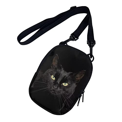 Black Cat