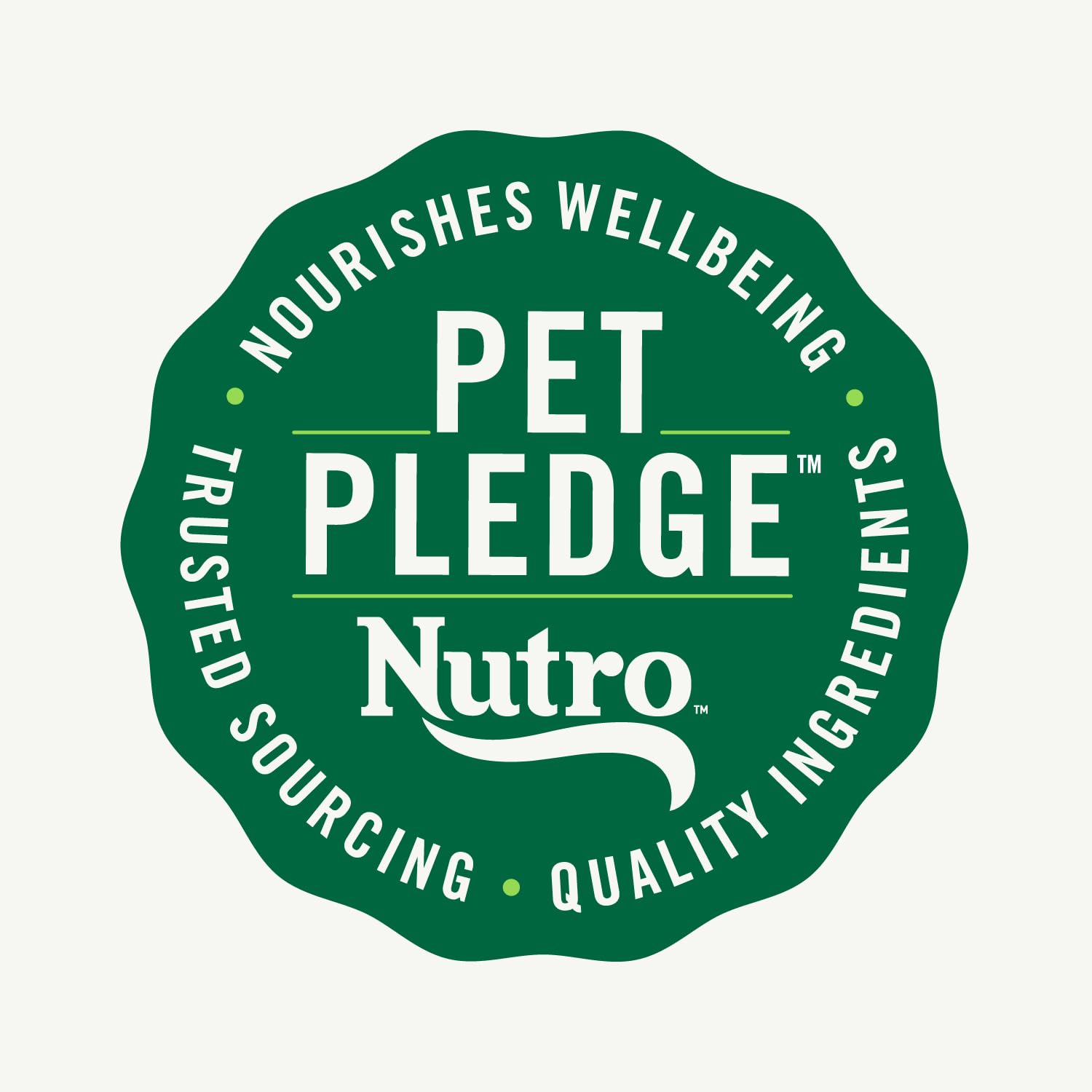 Nutro Perfect Portions Wet Cat Food Paté Chicken Recipe, 2.64 oz. Twin-Pack Trays (24 Count, Pack of 1) - Grain-Free, High Protein Cat Food for Adult & Senior Cats - Perfect for Mealtime, Travel & Portion Control
