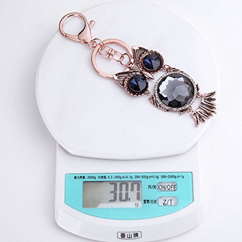 Fashion Owl Crystal Rhinestone Alloy Keychain Ring for Women - Elegant Jewelry Accessory for Purse, Keys, or Gift Giving (Style H1297)