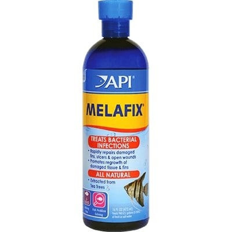 API Melafix Natural Antibacterial Fish Treatment for Aquariums - Heals Bacterial Infections, Fin Rot & Ulcers in Freshwater & Saltwater Fish | Perfect for Fish Tanks, Ponds & Aquarium Maintenance
