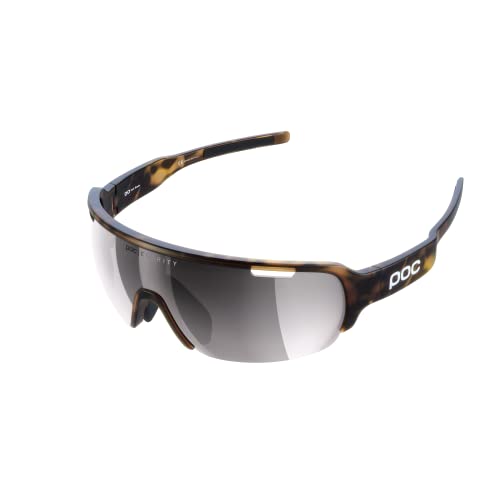 Tortoise Brown/Violet Silver Mirror