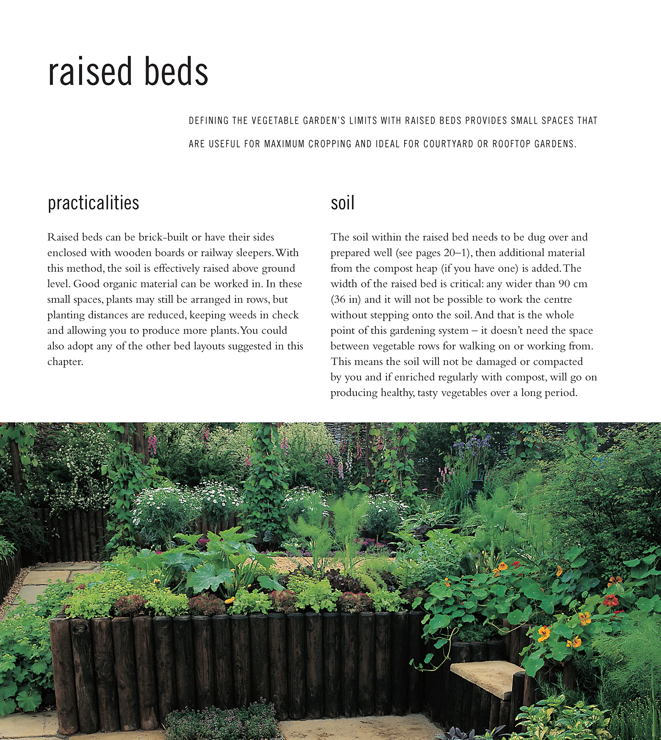 Best Vegetables & Herbs for Small Gardens - Easy to Grow at Home | Perfect for Urban Balconies & Patios