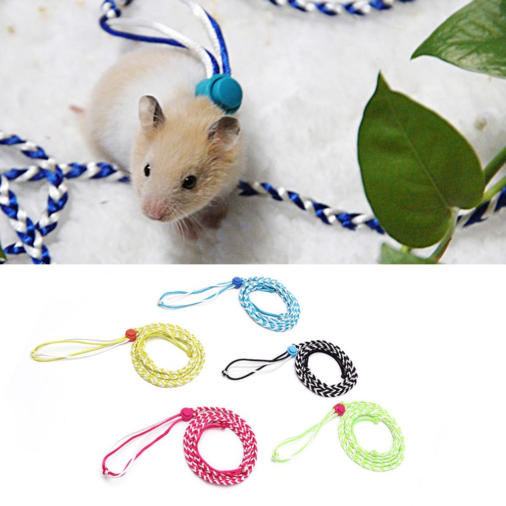 Adjustable Small Pet Harness and Leash for Ferrets, Hamsters, Mice, Baby Rabbits, Squirrels - Escape-Proof Walking Rope for Outdoor Adventures and Playtime