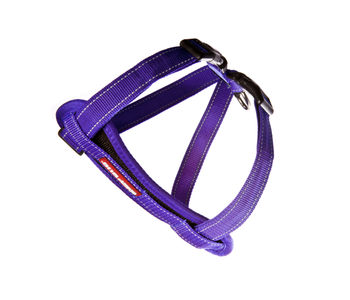 EzyDog No-Pull Chest Plate Harness for Dogs - Adjustable Reflective Purple Pet Harness for Medium & Large Breeds - Perfect for Walking, Running & Outdoor Adventures