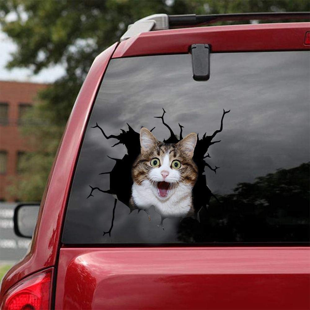 Funny Cat Car Decals - Pack of 2 Vinyl Stickers for Car Windows & Walls (10