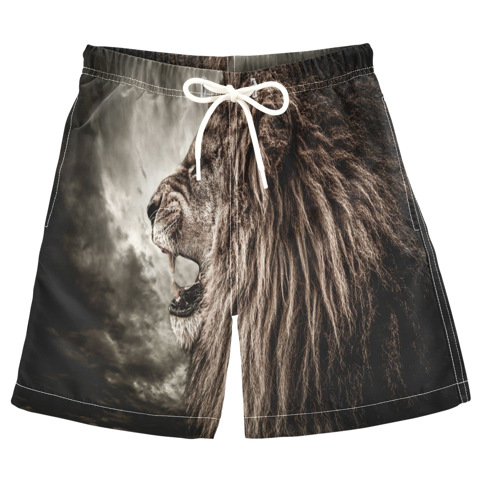 Boys' Quick Dry Swim Trunks with Roaring Lion Print - Stormy Sky Design, Toddler Board Shorts with Inner Mesh Liner for Beach, Pool & Summer Water Activities