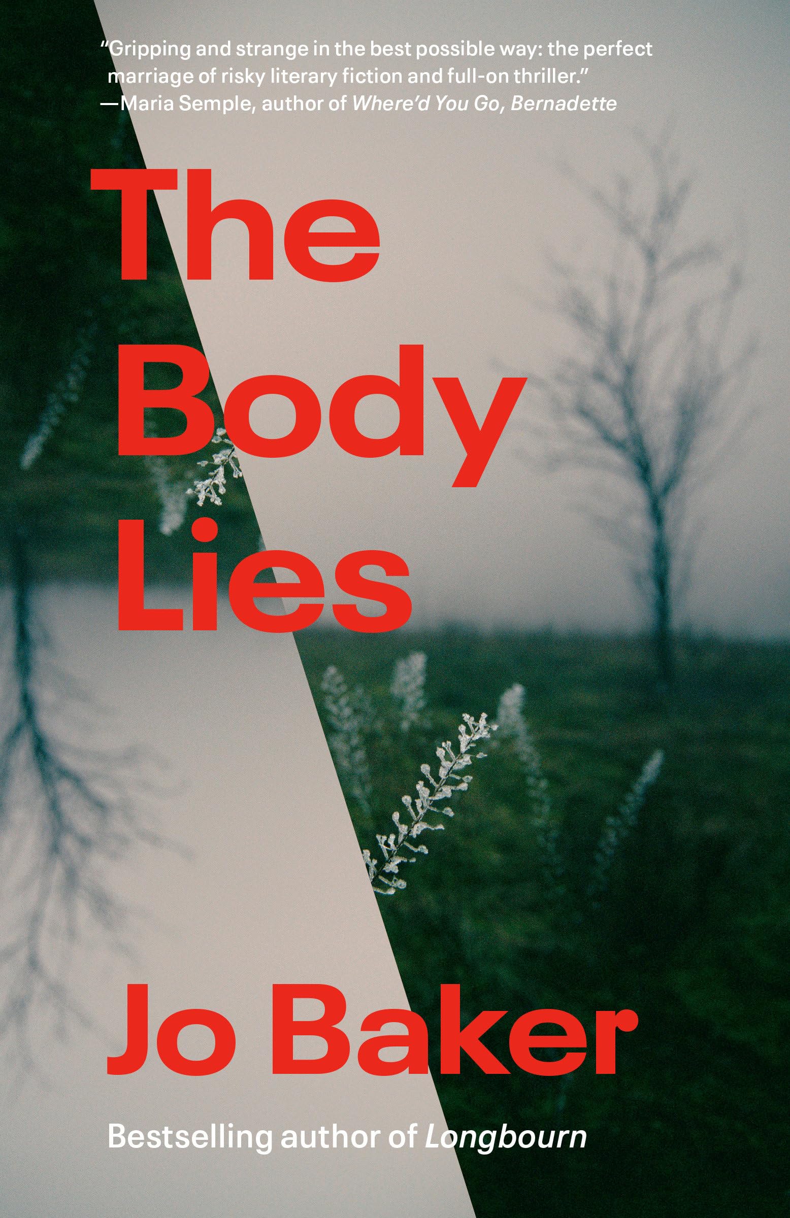 The Body Lies: A Gripping Psychological Thriller Novel - Perfect for Mystery Lovers & Book Club Discussions