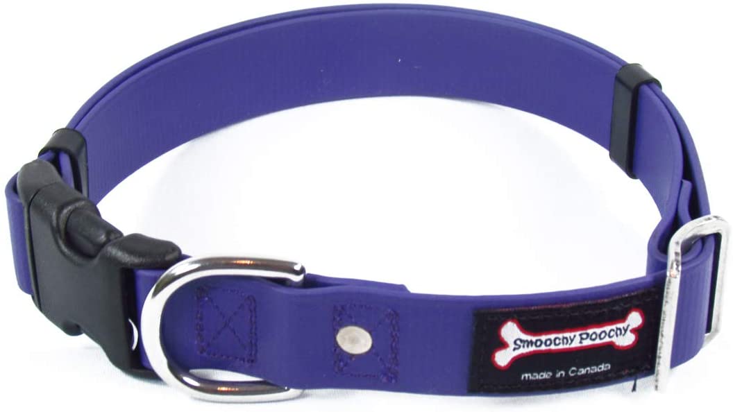 Smoochy Poochy Soft & Durable Polyvinyl Dog Collar - Adjustable Pet Collar for Small Medium Large Dogs (Multiple Colors) | Perfect for Daily Walks, Training & Outdoor Adventures