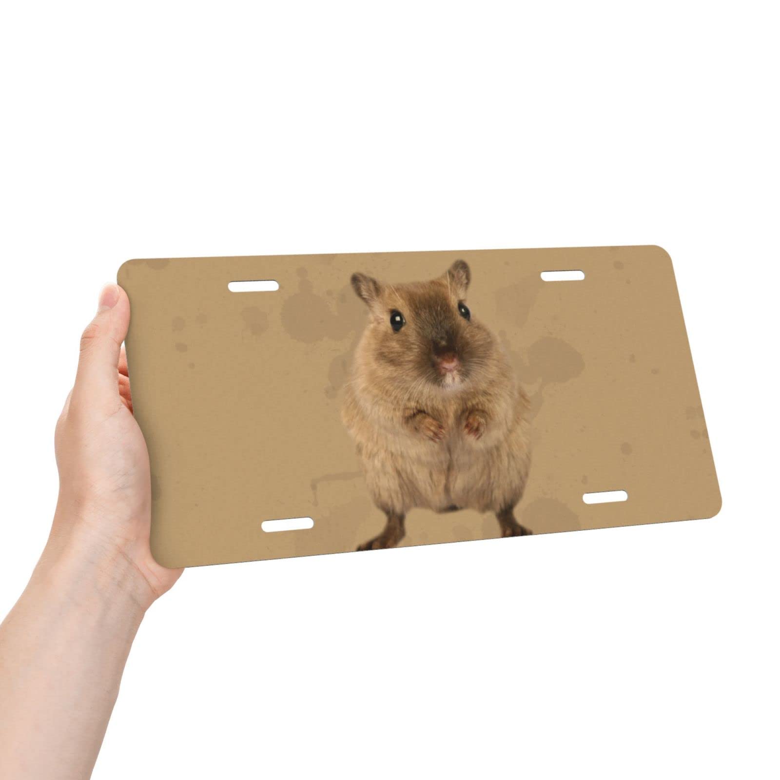 Funny Hamster Car License Plate - 6x12 Inch Aluminum Novelty Front Plate for Cars, Trucks & SUVs - Perfect Gift for Pet Lovers & Car Enthusiasts - Great for Road Trips, Car Shows & Personalizing Your Vehicle