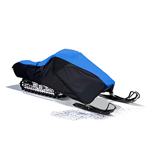 blue/black
