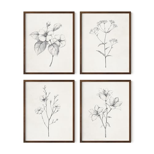 Antique Flower Drawings
