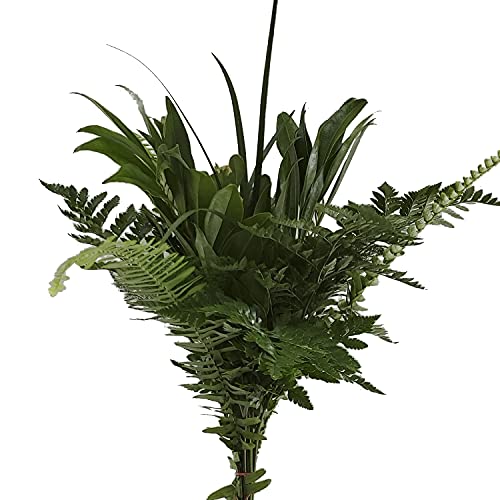 Grace Mixed Greens Bouquet - 15-Pack Fresh Cut Greenery for Delivery by Bloomingmore | Perfect for Home Decor, Office, Birthday, Wedding, DIY, Party Events, Housewarming, Teacher Gifts & Engagement Celebrations | Premium Floral Arrangements for Any Occasion