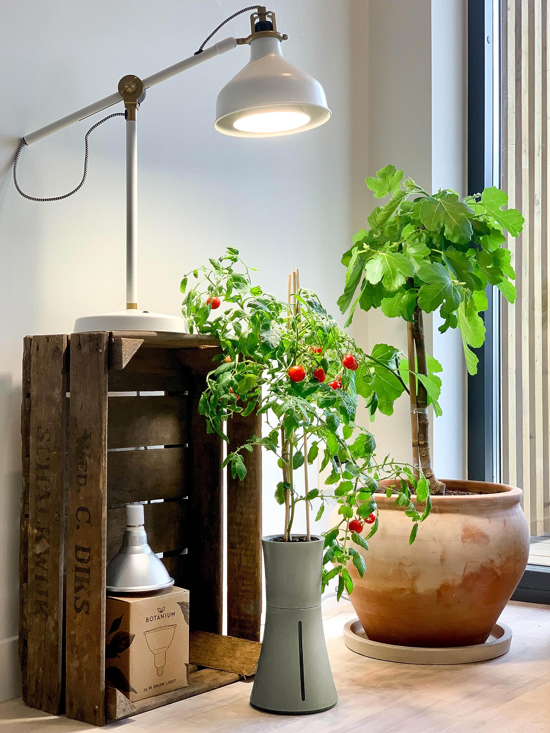 Botanium Hydroponic Indoor Garden System - Automatic Self-Watering Planter Pot for Herbs, Vegetables & Flowers (Grey) - Perfect for Kitchen, Office & Small Space Gardening