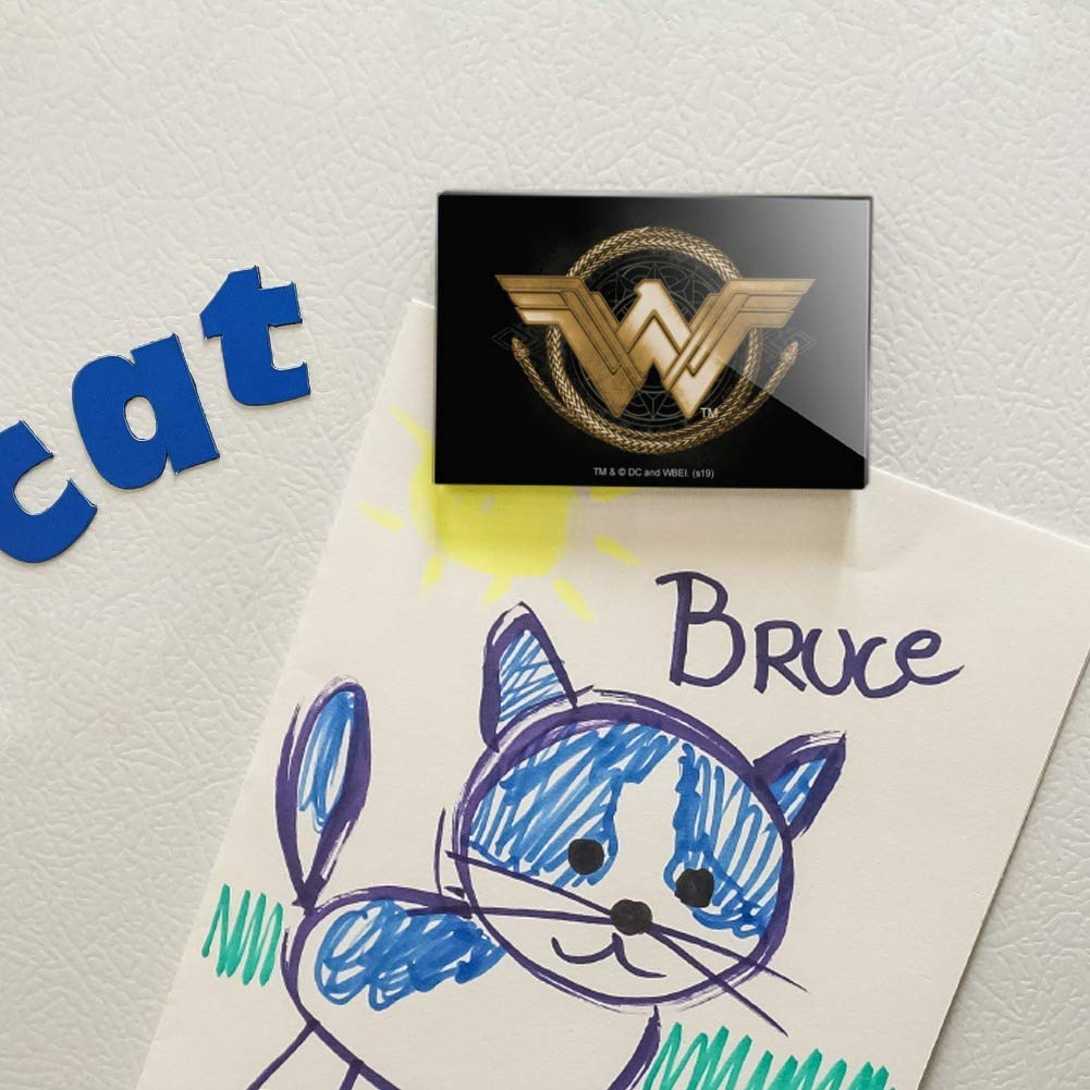 Wonder Woman Golden Lasso Logo Acrylic Refrigerator Magnet - DC Comics Superhero Collectible for Fans, Home & Office Decoration