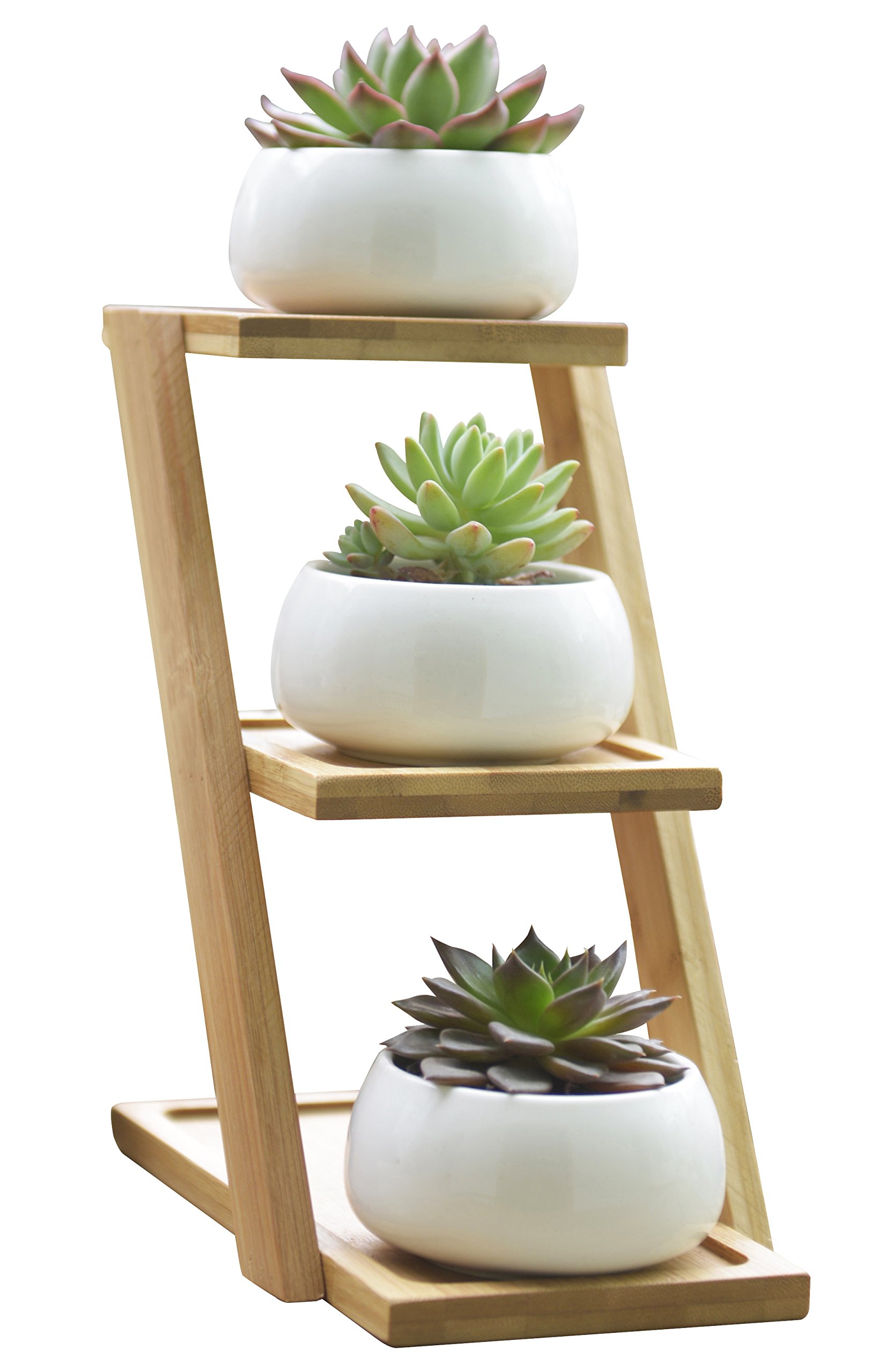 Jusalpha 3.2 Inch Ceramic Succulent Planter with Drainage Hole & Bamboo Tray - Round Flower Pot for Succulents, Cactus, Herbs - Home & Office Decor, Gift Idea (Set of 3, White) - Perfect for Windowsills, Desks, and Indoor Gardening