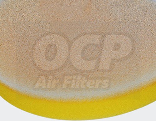 Kawasaki KLT200 ATV Air Filter - High Performance Replacement Part for 1981-1984 Models | Perfect for Off-Road Riding & Engine Protection