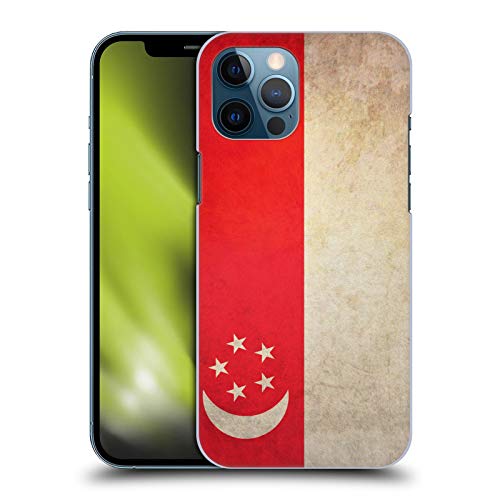 Singapore Singaporean
