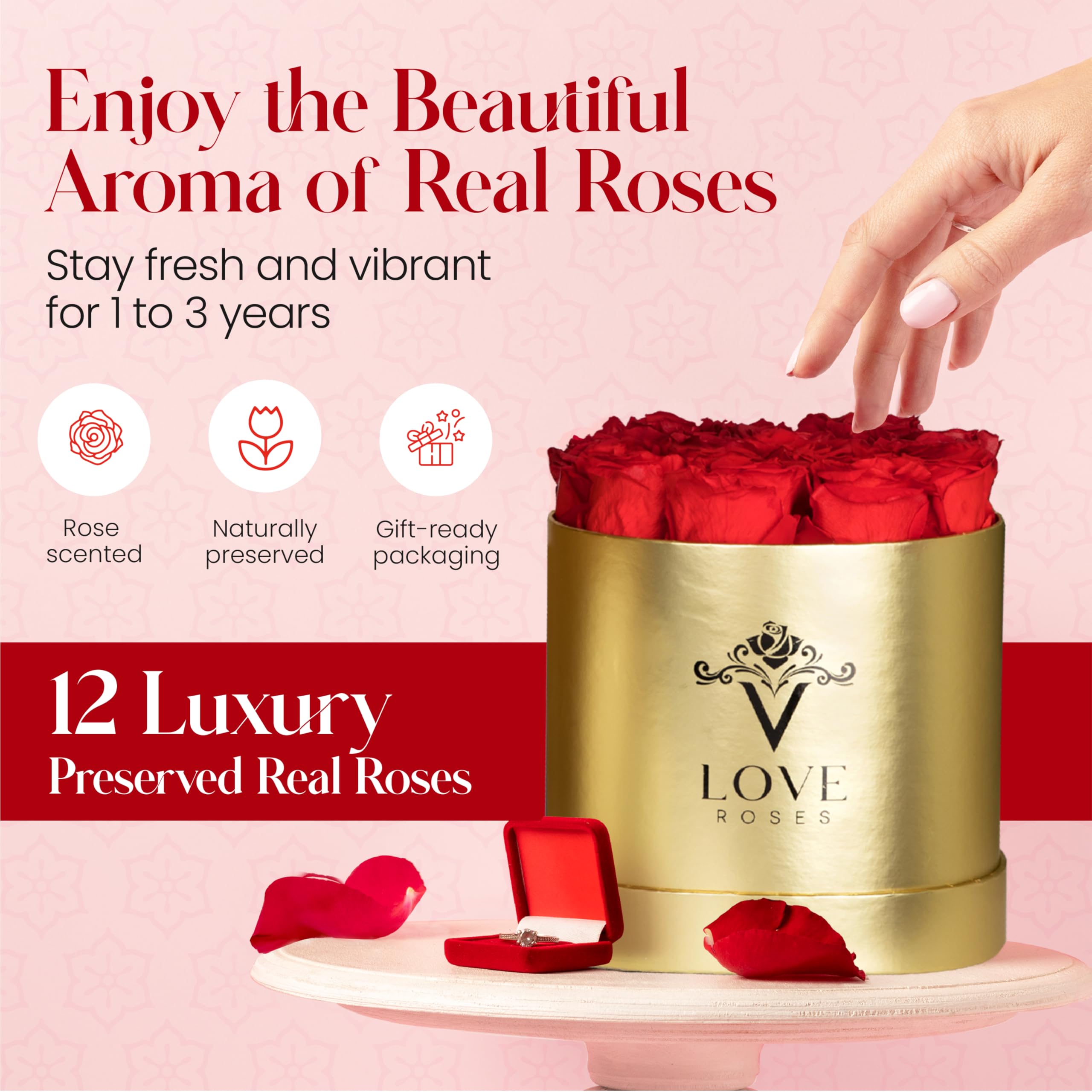 VLove® Forever Roses in a Box - Real Preserved Roses That Last 1 Year | Natural Eternal Rose Gift for Her (Red) | Perfect for Anniversaries, Valentine's Day & Romantic Surprises