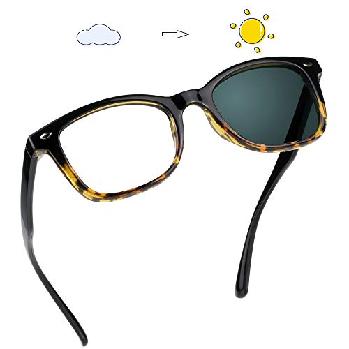 03-2119 Tortoise Gray