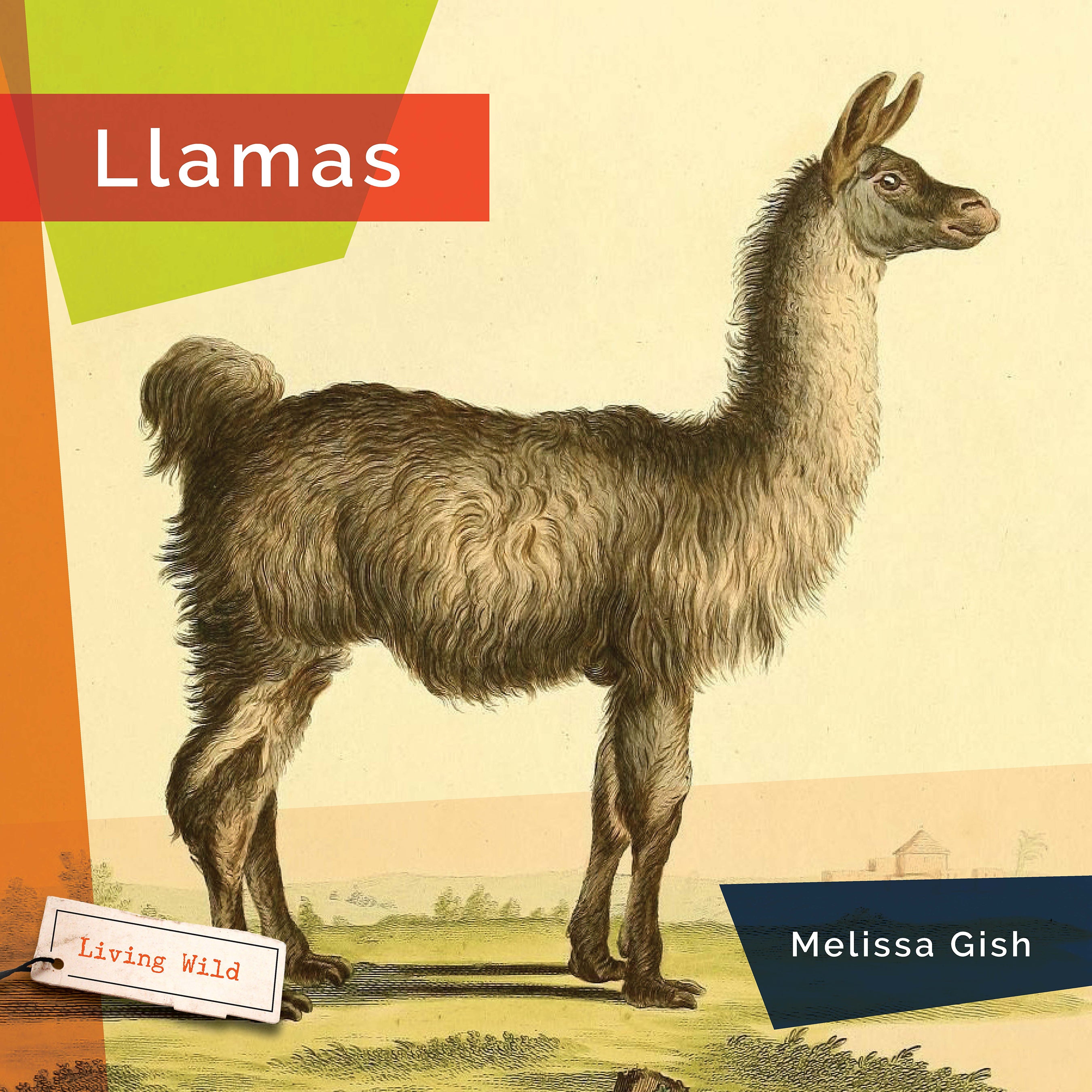 Llamas: A Fascinating Animal Guide Book (ISBN 9781640267916) - Perfect for Animal Lovers, Kids Education & Nature Enthusiasts