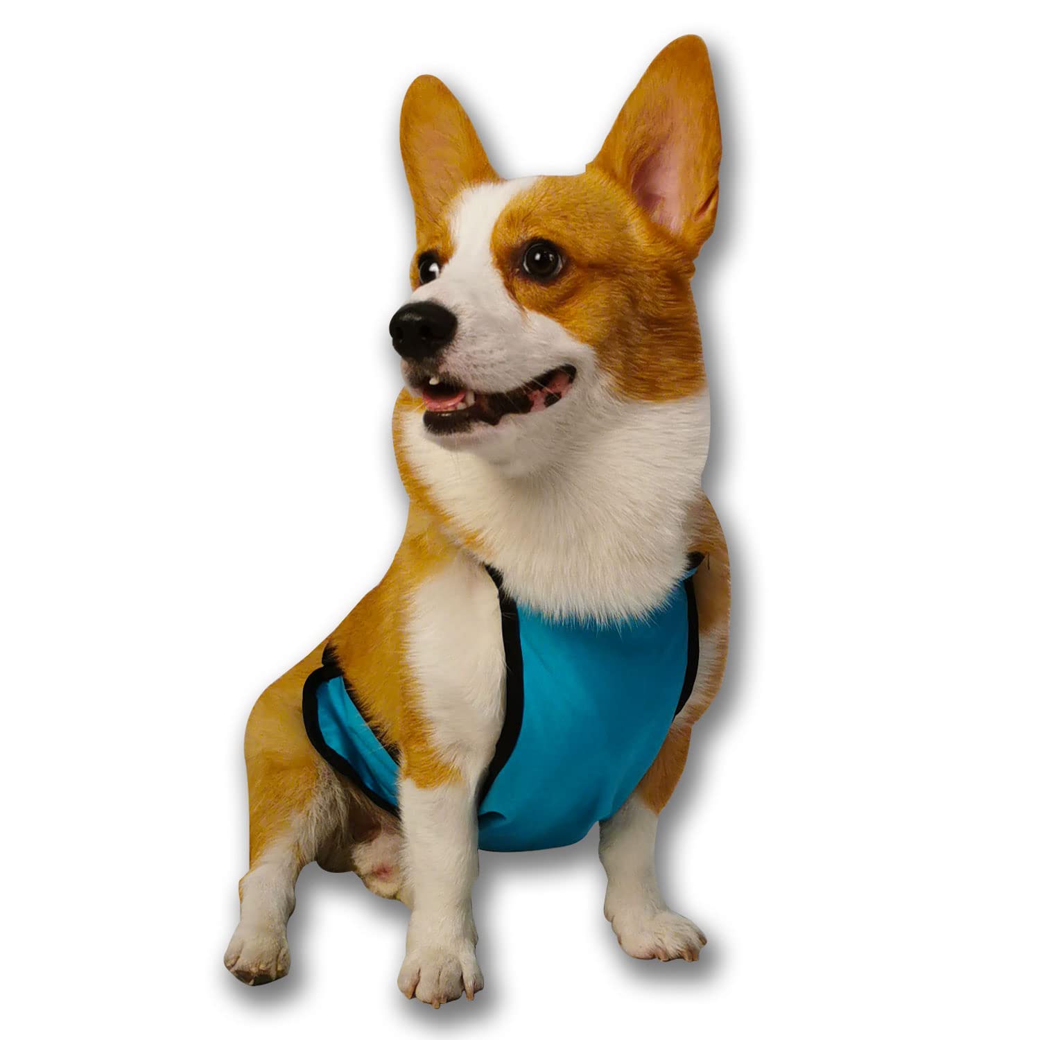 Waterproof & Windproof Dog Raincoat - Lightweight Breathable Rain Jacket with Reflective Strips for Small Dogs Like Corgis - Perfect for Outdoor Walks & Rainy Day Adventures