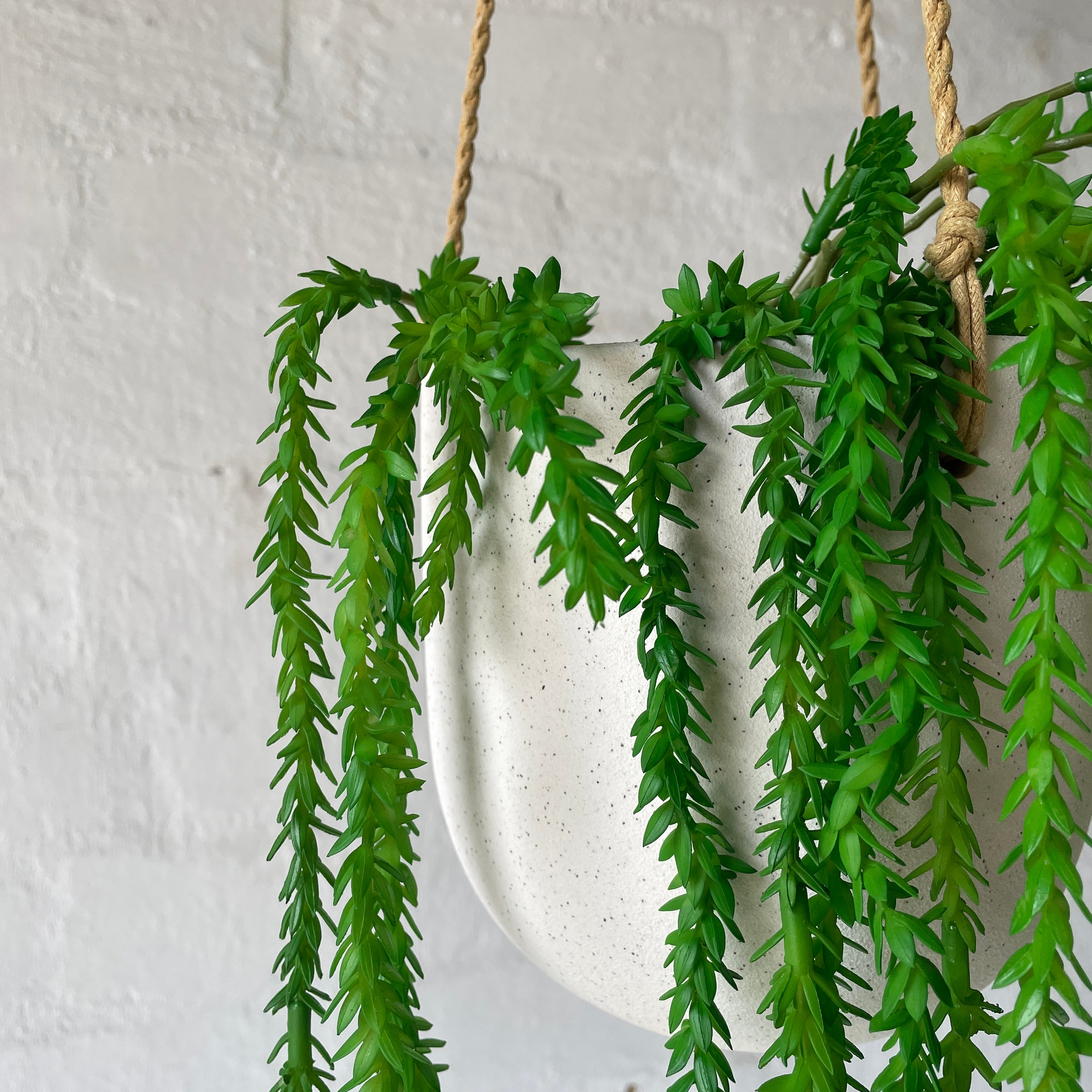 Artificial Creeping Vine - Realistic Faux Ivy Leaves for Home & Garden Decor - Perfect for Walls, Fences, Wedding Backdrops and Indoor Greenery