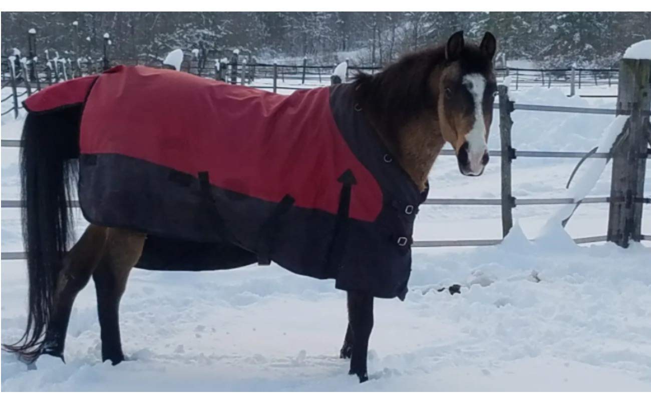 Contour Collar Classic II Horse Turnout Blanket - Waterproof Winter Horse Blanket with Bellyband Closure | Weather Protection for Cold Seasons | Ideal for Stable, Pasture & Riding