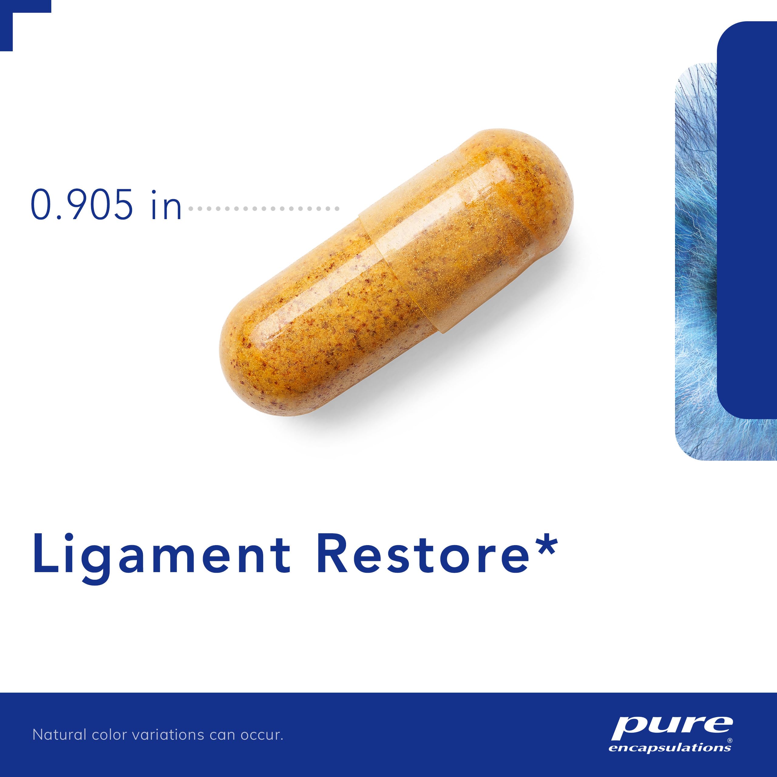 Pure Encapsulations Ligament Restore - 240 Capsules | Dietary Supplement for Healthy Tendons, Ligaments & Joint Support | Supports Active Lifestyle, Post-Workout Recovery & Joint Mobility for Athletes & Seniors