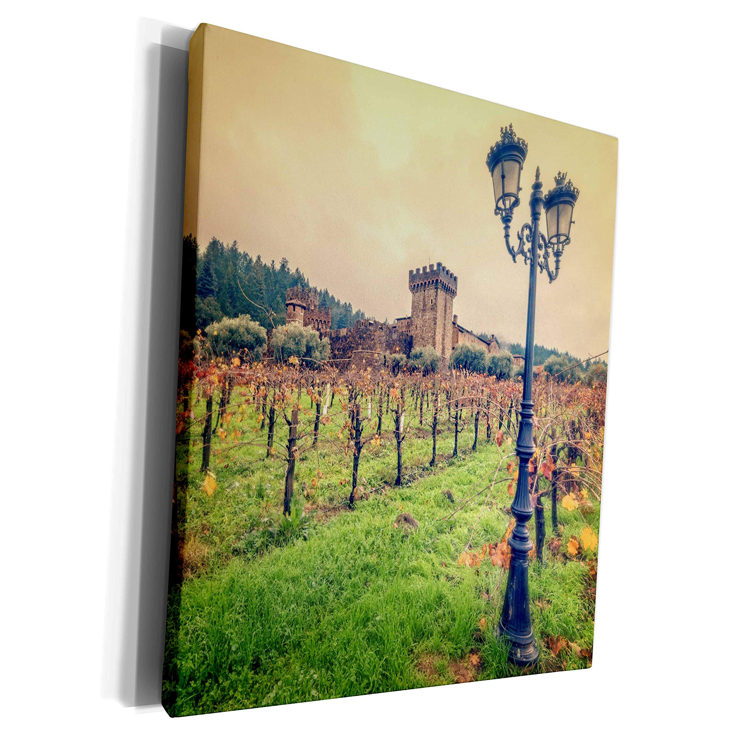 3dRose Museum Grade Canvas Wrap - Stunning Winery & Fall Vines Landscape Photography Wall Art - Perfect for Living Room, Bedroom & Office Decor