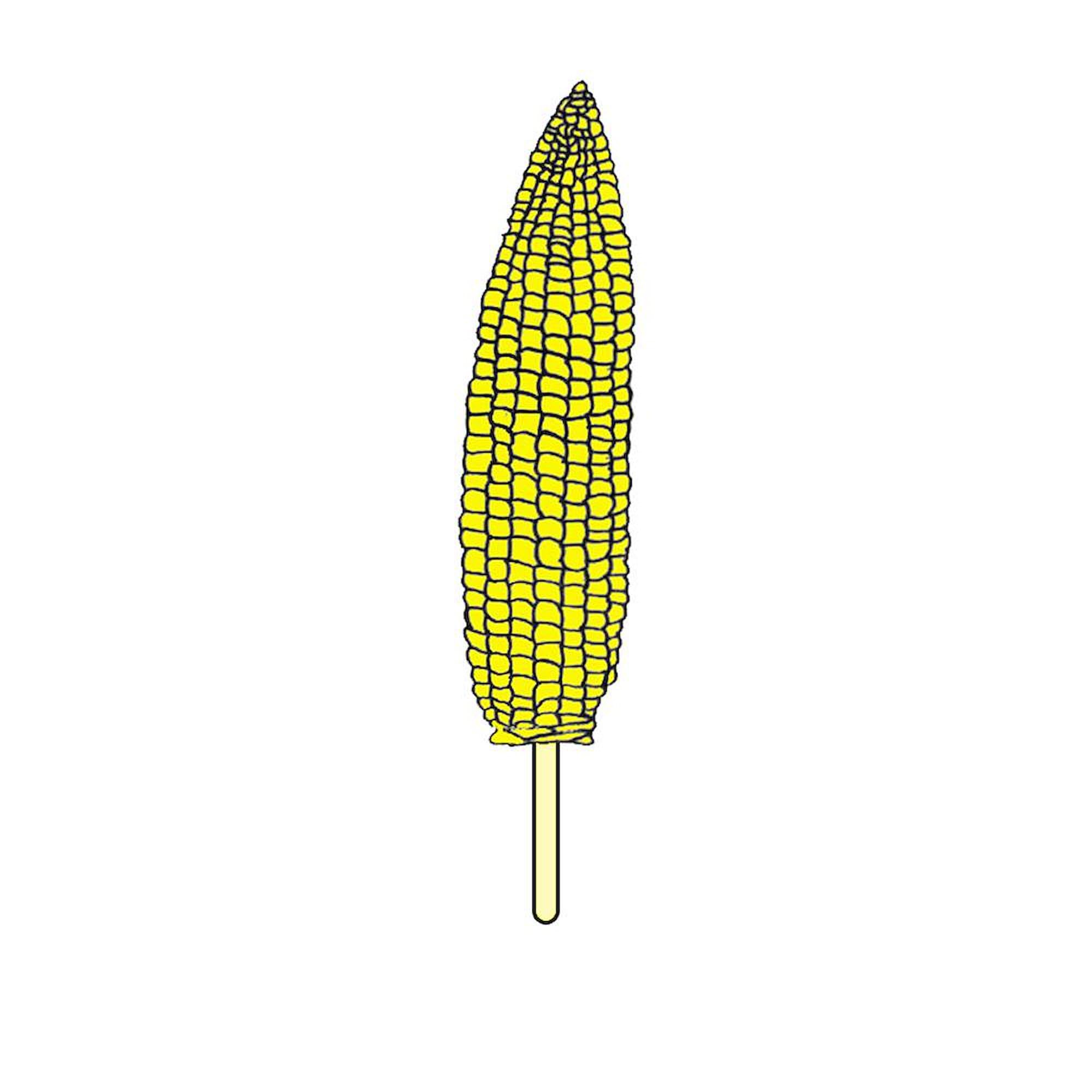 11 oz (325 ml) Ceramic Coffee Mug - Corn On A Stick Design - Perfect for Office, Home & Gift Giving | CafePress