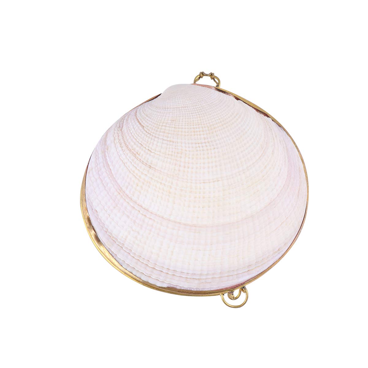 BESPORTBLE Handmade White Shell Jewelry Box - Small Jewelry Storage Case for Women, Girls Makeup Organizer & Decorative Gift Box | Perfect for Travel, Wedding Accessories & Home Decor