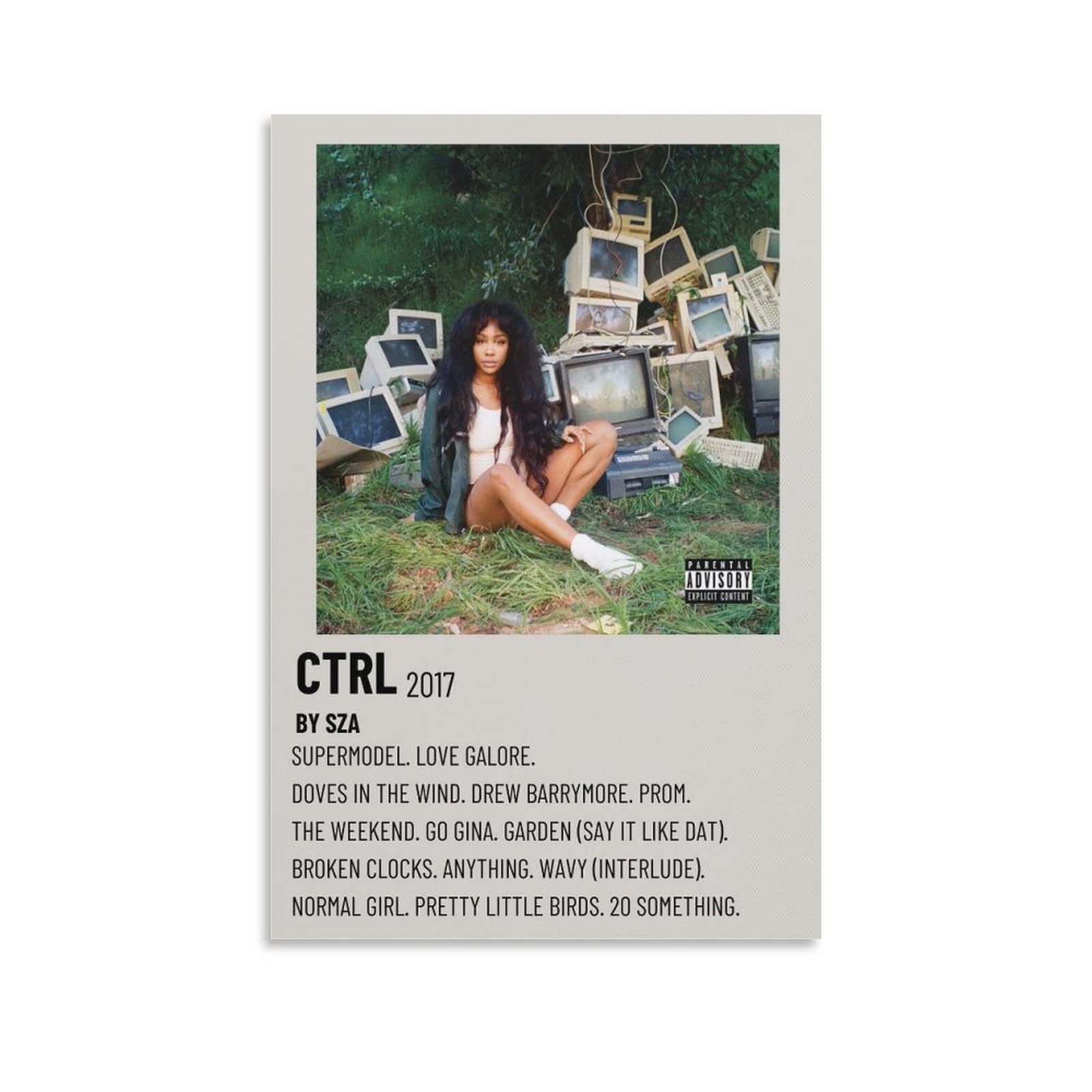 Tyio Sza Poster - Singer Ctrl Music Wall Art for Room Aesthetic, 12x18 inch (30x45cm) Canvas Painting - Perfect for Bedroom, Living Room & Home Decor | Great Gift for Music Lovers & Wall Hanging Decor