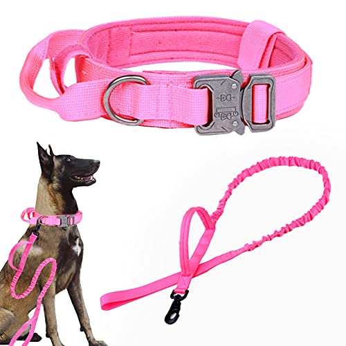 Pink SET(collar+leash)