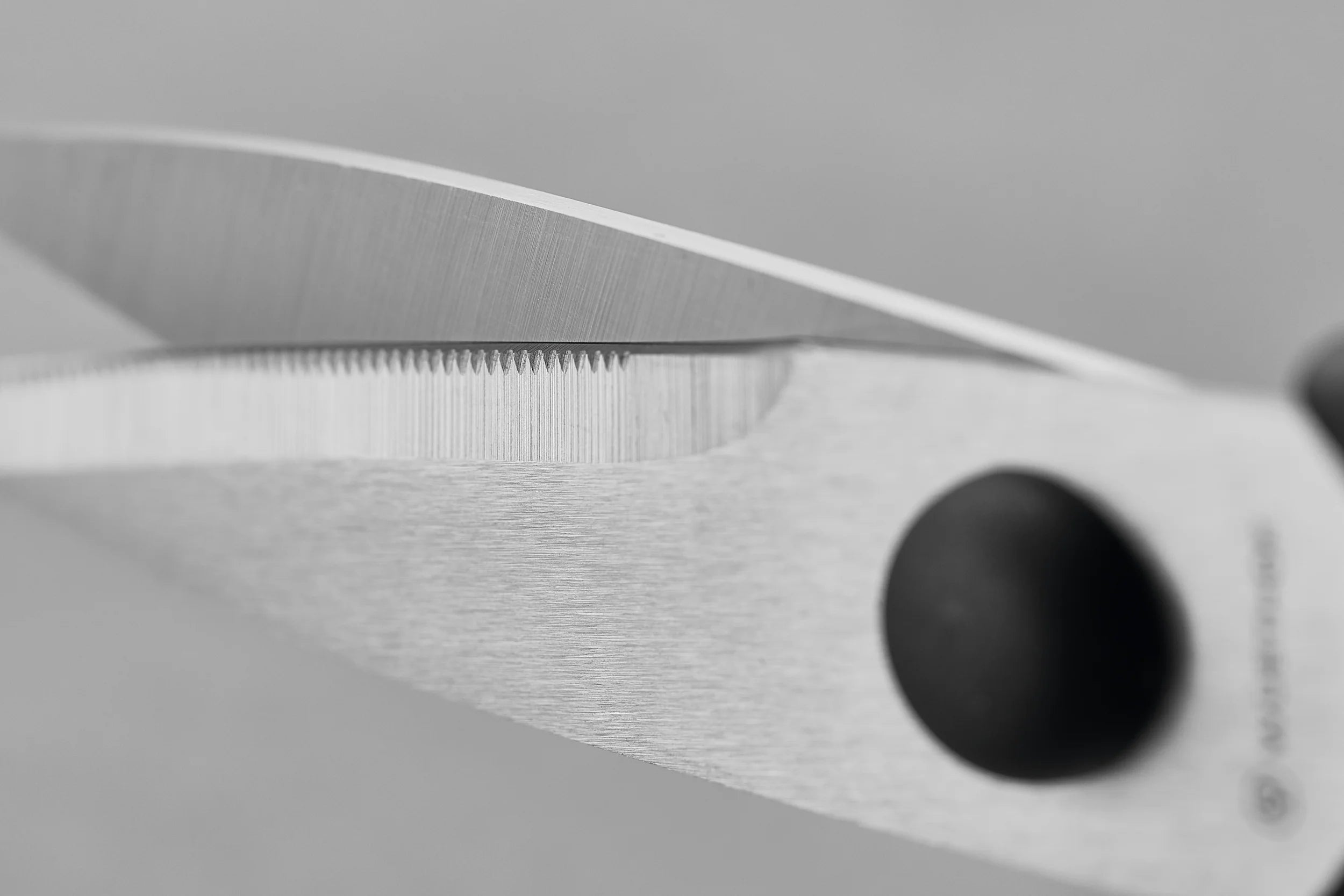 Wusthof 8-Inch Stainless Steel Take-Apart Kitchen Scissors - Heavy Duty Black Cooking Shears for Cutting Meat, Poultry, Herbs & More | Dishwasher Safe | Perfect for Professional Chefs & Home Cooks