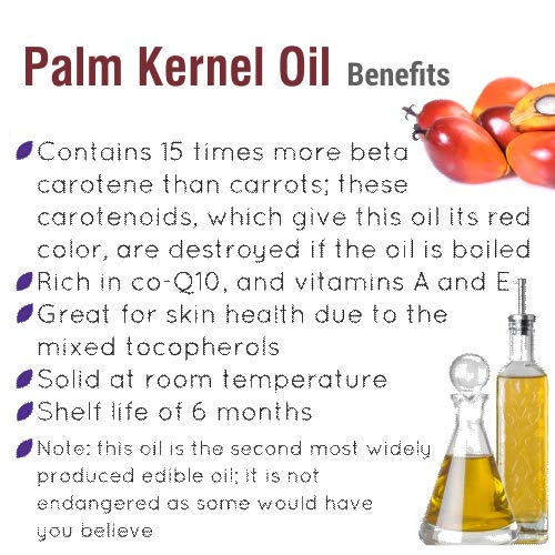 Organic Plum Kernel Oil (Prunus Domestica) - 100% Pure, Undiluted Carrier Oil for Skin & Hair Care - Cold Pressed, Therapeutic Grade - 67.6 fl oz (2000ml) - Perfect for Aromatherapy, Massage & DIY Beauty Products