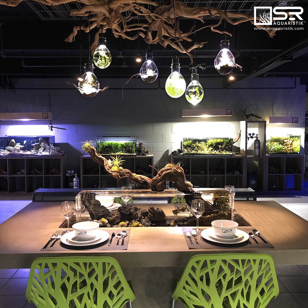 Modern Glass Aquarium Coffee Table with LED Lights - Unique Dining Room Centerpiece for Home Decor & Fish Tank Enthusiasts | Perfect for Living Room, Office, or Restaurant Decor
